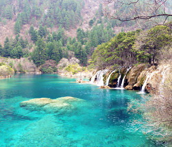 Image Tour